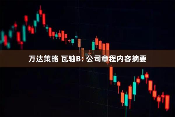 万达策略 瓦轴B: 公司章程内容摘要