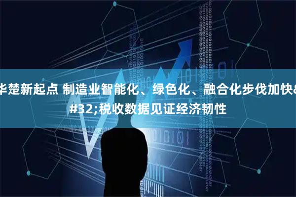 华楚新起点 制造业智能化、绿色化、融合化步伐加快 税收数据见证经济韧性