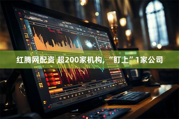红腾网配资 超200家机构, “盯上”1家公司