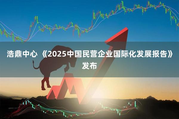 浩鼎中心 《2025中国民营企业国际化发展报告》发布